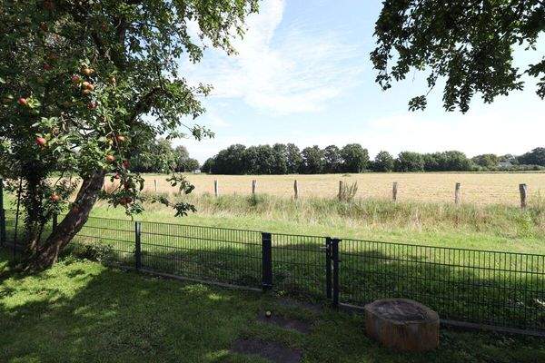 Ausblick hinter Grundstück