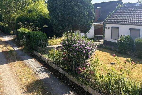 Der Garten ist mit Pflanzen eingefasst-03-115130-2