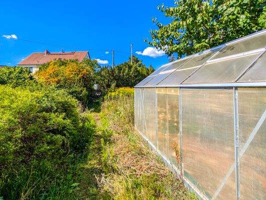 Gartenweg und Gewächshaus