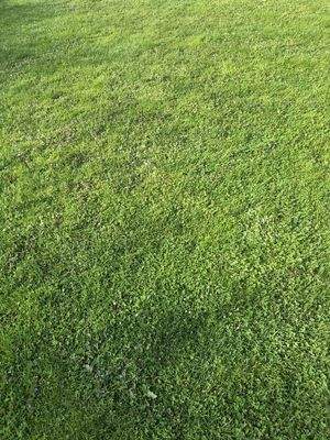 Bauträgergrundstück