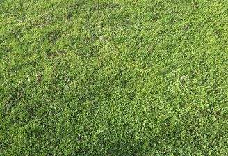 Bauträgergrundstück