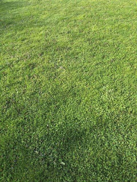 Hollabrunn Grundstücke, Hollabrunn Grundstück kaufen