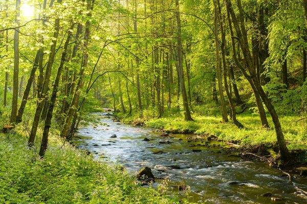 040 Olschnitztal Bad Berneck Foto