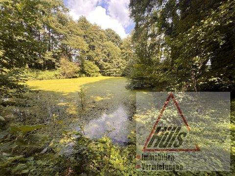 Lienen / Meckelwege Bauernhöfe, Landwirtschaft, Lienen / Meckelwege Forstwirtschaft