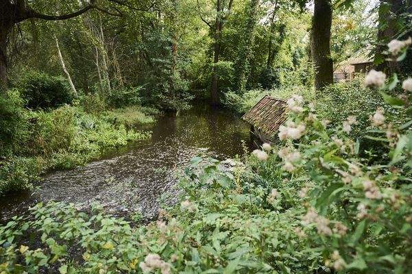 Impression Quelkhorn_3