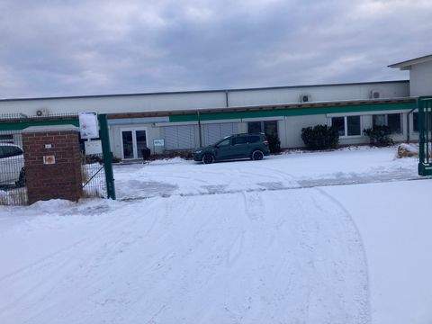 Rothenburg/Oberlausitz Halle, Rothenburg/Oberlausitz Hallenfläche