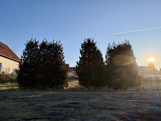 Grundstück Blickrichtung Süden