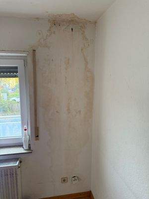 Feuchtigkeitsschaden