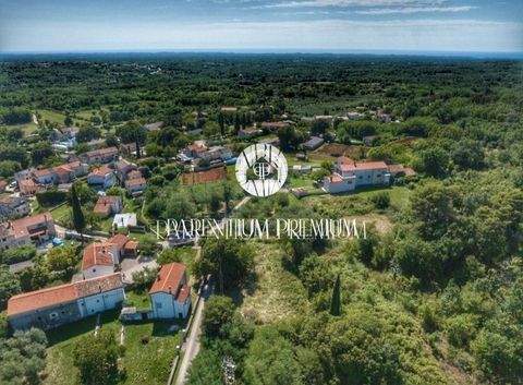 Baderna - Matulini Bauernhöfe, Landwirtschaft, Baderna - Matulini Forstwirtschaft