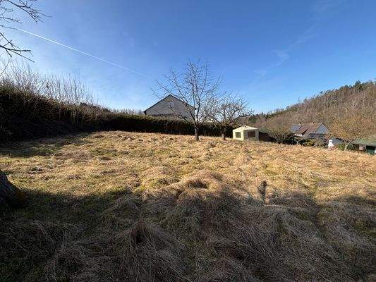 Teilansicht vom Baugrundstück