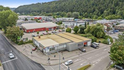 Tuttlingen Halle, Tuttlingen Hallenfläche