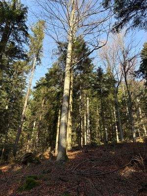 2025-11-05 10.26.45.jpg