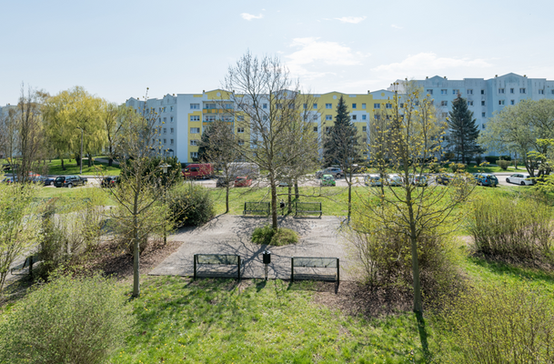 Screenshot 2026-02-24 114724.png