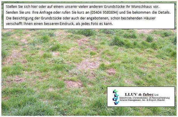 Bild Grundstück.jpg
