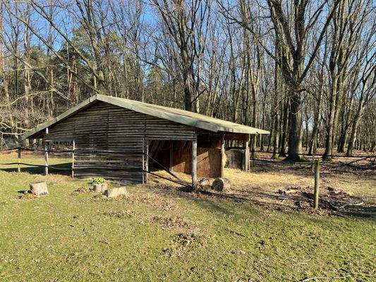 Futterunterstand Dammwild 2.jpg