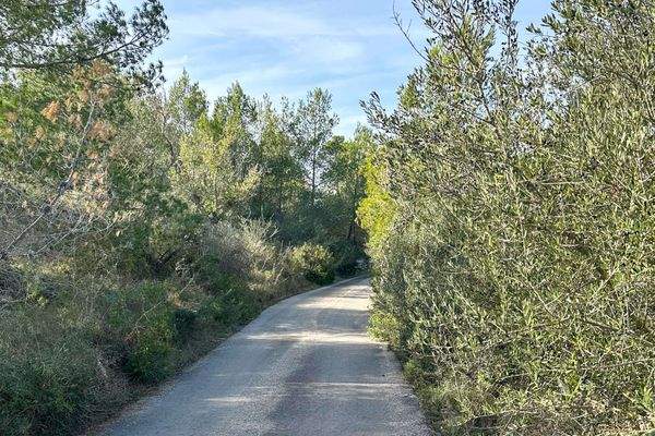 asphaltierte Strasse