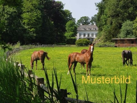 Ammersbek Bauernhöfe, Landwirtschaft, Ammersbek Forstwirtschaft