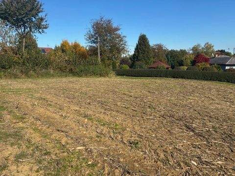 Aurach am Hongar Grundstücke, Aurach am Hongar Grundstück kaufen