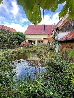Blick auf den Gartenteich