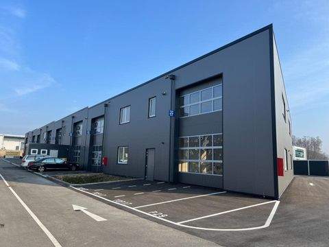 Buchkirchen Halle, Buchkirchen Hallenfläche