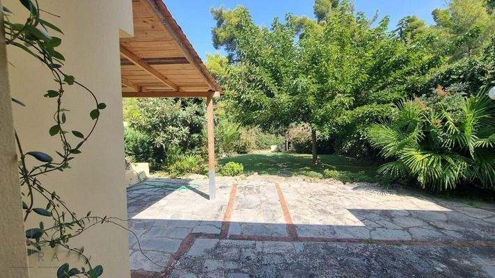 e059a8d6-92cf-4d74-894e-7361fd82dfee