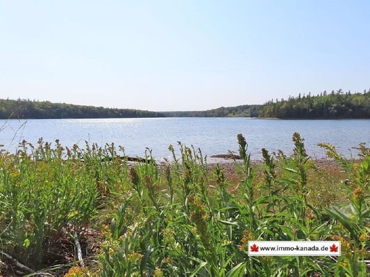 Cape Breton - Cleveland - Wunderschönes See-Ufer-G