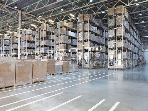 Radolfzell am Bodensee Halle, Radolfzell am Bodensee Hallenfläche