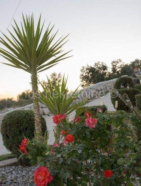 Rogoznica Häuser, Rogoznica Haus kaufen