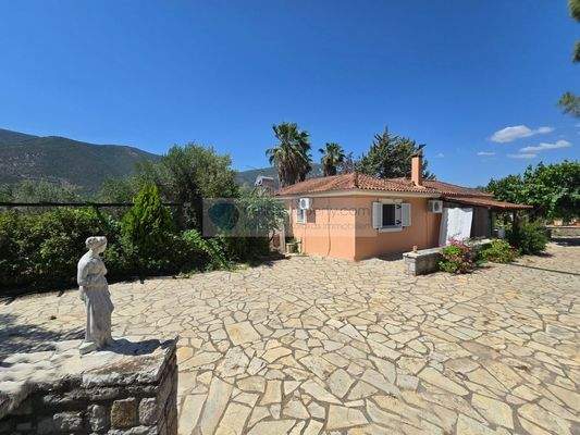 img_2e804931-ae01-45cd-a4a7-d77e82a512cd