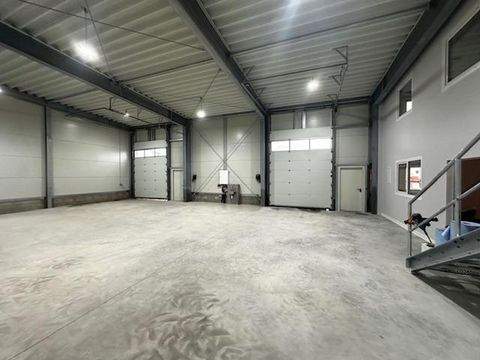 Halle Halle, Halle Hallenfläche