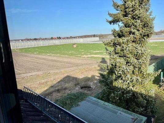 Blick über die Felder