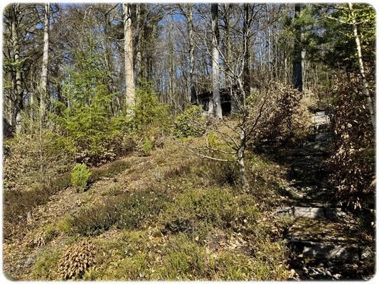 Bild5
