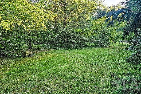 Teilansicht im Sommer