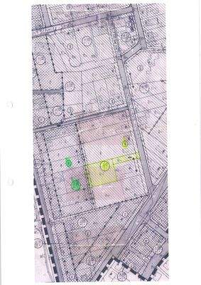 20250926111020080_0003