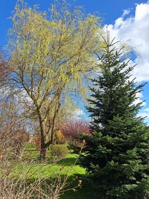 Gartenansicht