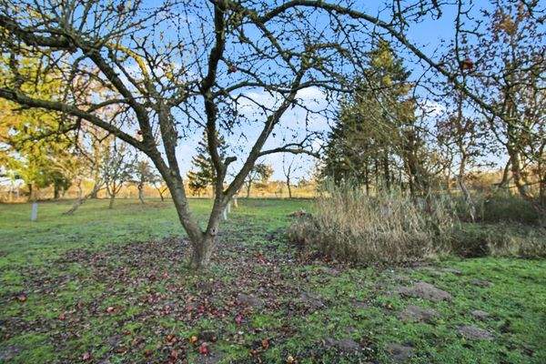 Grundst?ck perfekt f?r Nutztiere