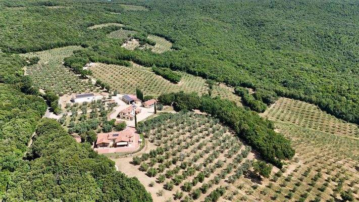 Grundstück 85 ha Agrarvilla