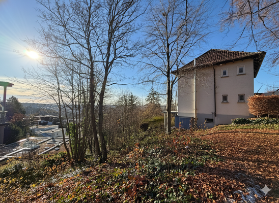 ...mit vielen Bebauungsmöglichkeiten