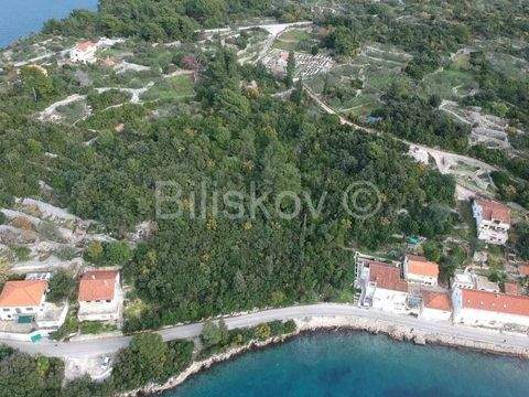 Korcula Bauernhöfe, Landwirtschaft, Korcula Forstwirtschaft