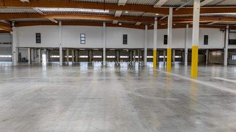 Blumberg Halle, Blumberg Hallenfläche