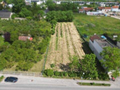 Krems an der Donau Grundstücke, Krems an der Donau Grundstück kaufen