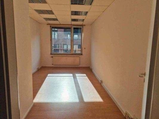 IMG_20250219_110639 (2).jpg