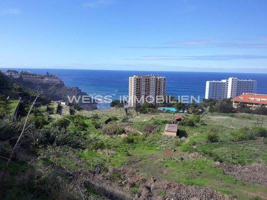 Weitläufiges Grundstück 