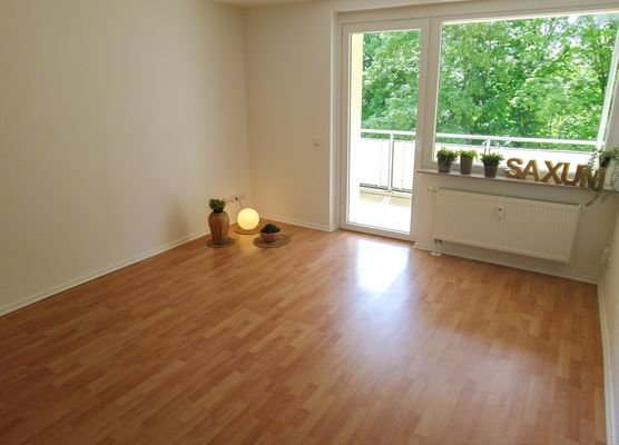 geräumiges Wohnzimmer