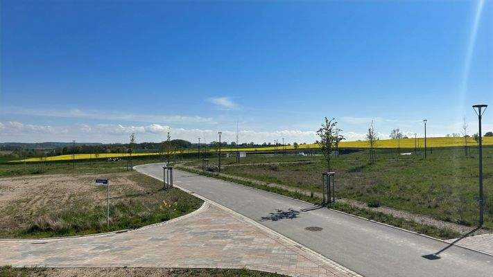 Ferienhausgebiet - Rapsfeld