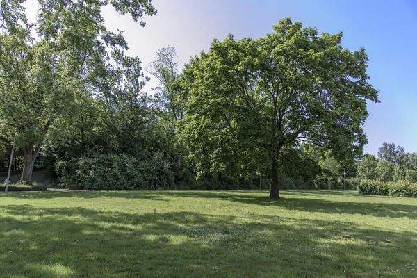 Littweg Gru¨nfla¨che