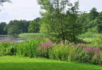 Bad Saarow Wasser.jpg