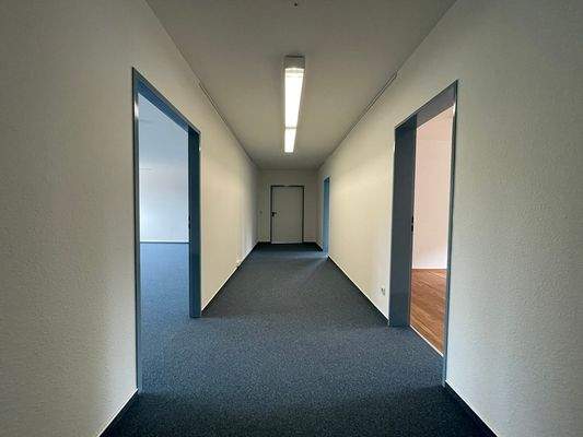 60113_3.jpeg