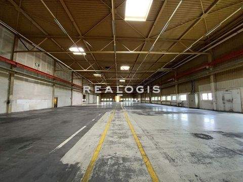 Triefenstein Halle, Triefenstein Hallenfläche