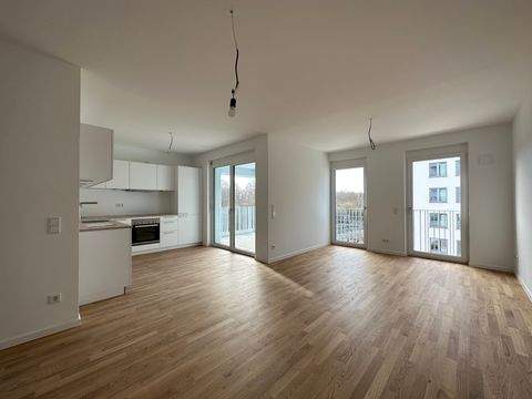 Neu-Ulm Wohnungen, Neu-Ulm Wohnung mieten